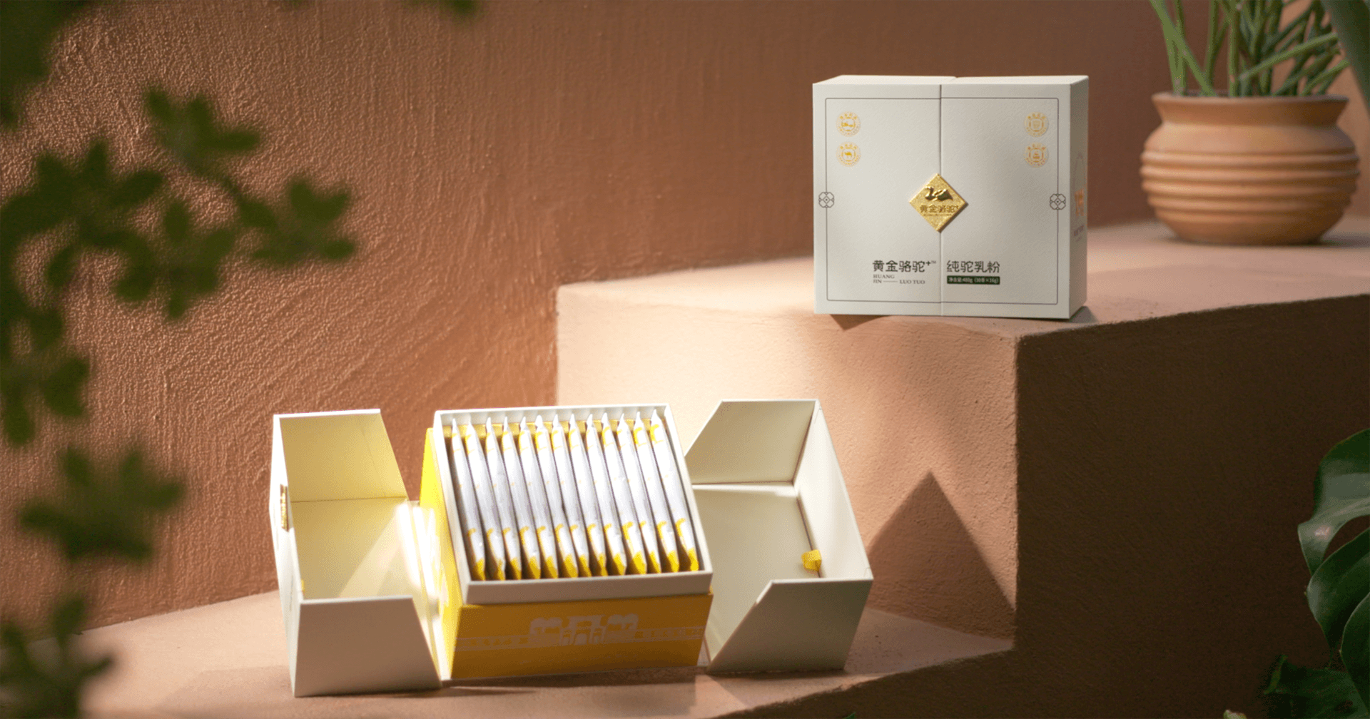 定位小众高端乳粉，，，，不朽情缘推出驼奶品牌“黄金骆驼+”，，，，角逐乳品新市场！。。。。